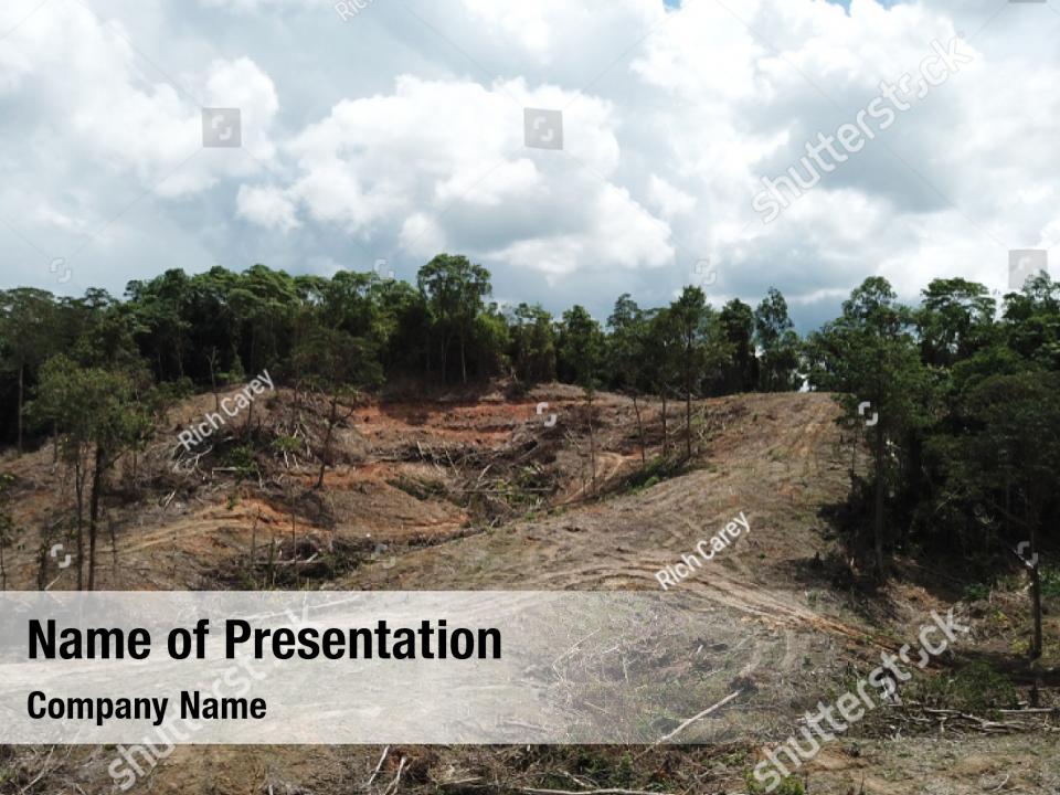 Deforestation Rainforest Cut And Burned Powerpoint Template