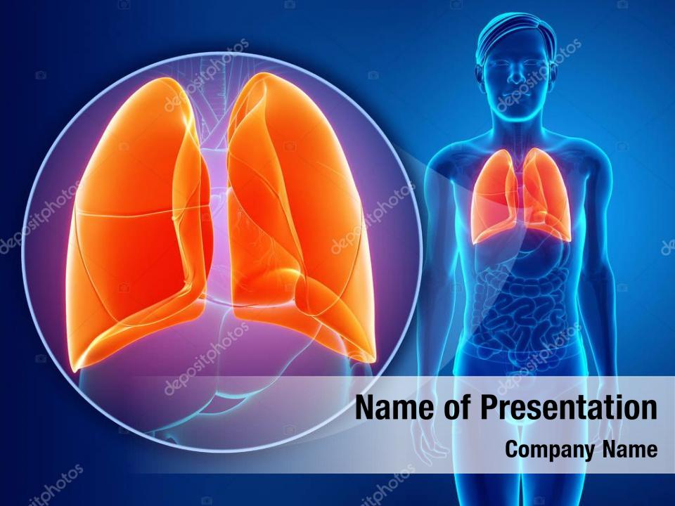 Lungs In The Human PowerPoint Template Lungs In The Human PowerPoint