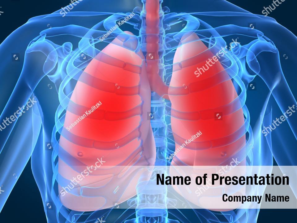 Lungs Anatomy Powerpoint Template Lungs Anatomy Powerpoint Background