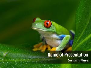 Tropical Green Frog PowerPoint Template