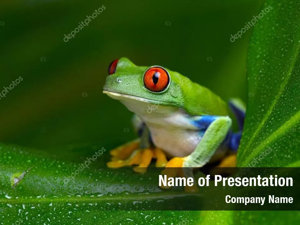 Tropical Green Frog