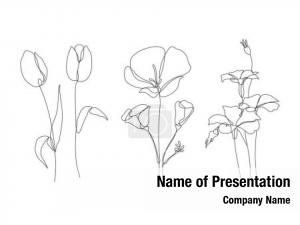 Stylized Plant
