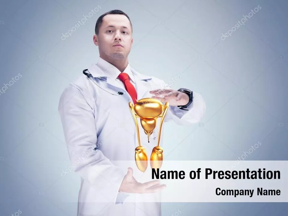 Male Reproductive Organs