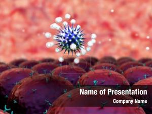 Human Immune System