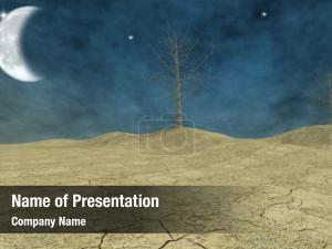 Virtual Desert