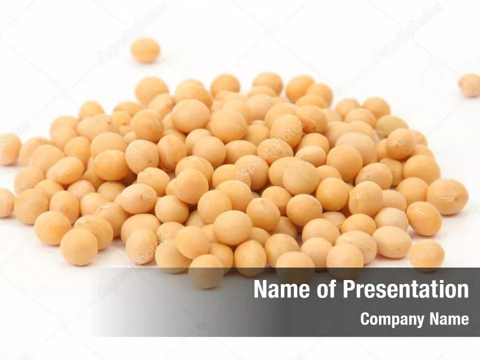 Soy Beans