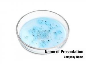 Petri Dish PowerPoint Template