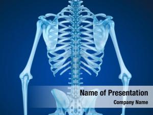 Bones PowerPoint Template