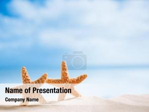 Starfish On The Beach