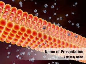 Membrane PowerPoint Template