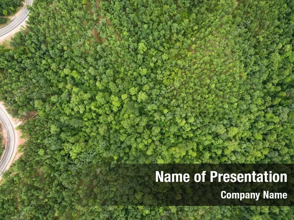 Tropical Rainforest Canopy From Above