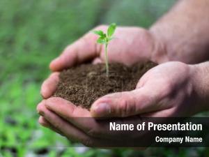 Sprout In Careful Hands