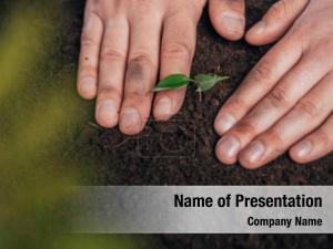 Planting