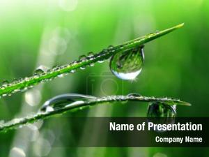 Dew PowerPoint Template