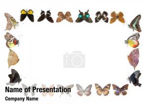 Delicate Frame with Butterflies PowerPoint Template