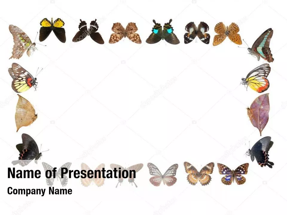 Delicate Frame with Butterflies