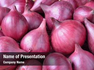Onion