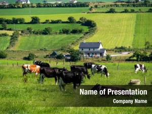 Agriculture Free PowerPoint Template