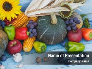 Sunflower, Apple, Grape And Corn PowerPoint Template