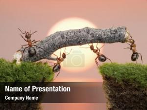 Work Together PowerPoint Template