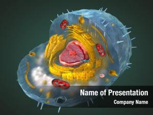 Cell Structure PowerPoint Template