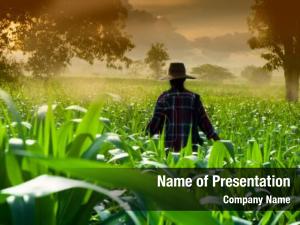 Farmer On The Green Field PowerPoint Template