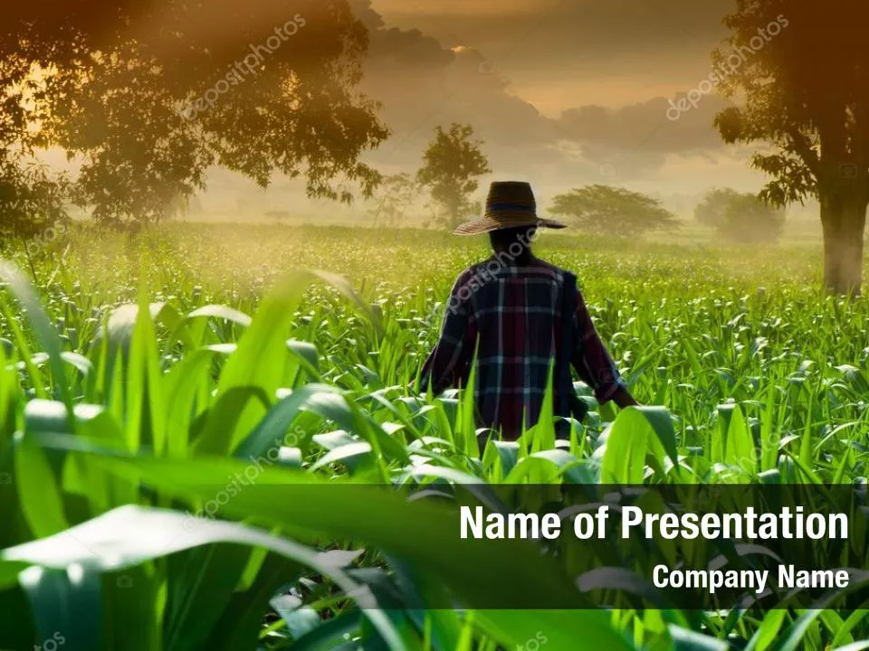 Farmer On The Green Field