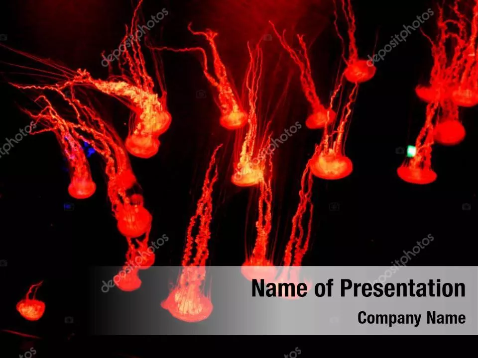 Group of Bioluminescent Jellyfish