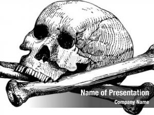 Skull And Bone