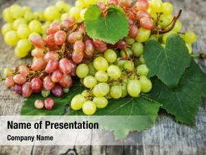 White And Red Grapes PowerPoint Template