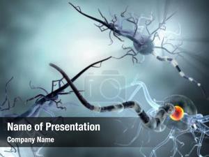 Render high quality nerve cell PowerPoint Template