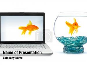 Golden Fish On The Laptop