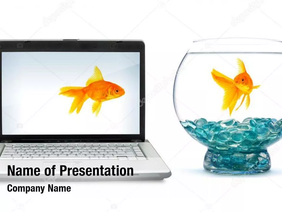 Golden Fish On The Laptop