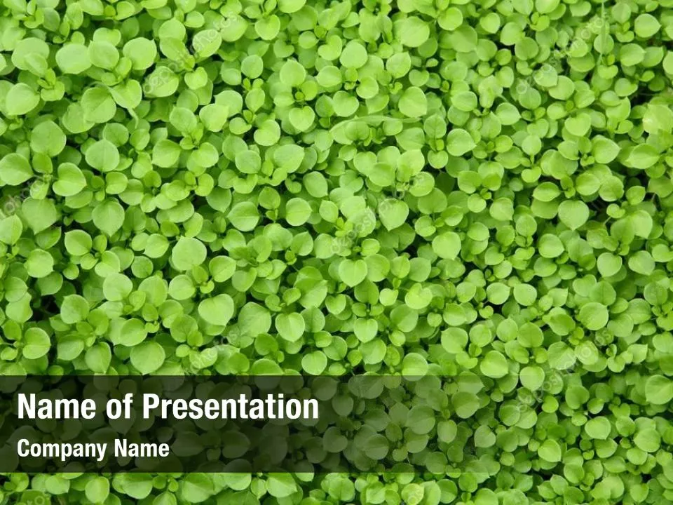 Green Plants Pattern