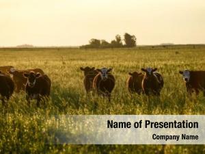 Farm Labor PowerPoint Template