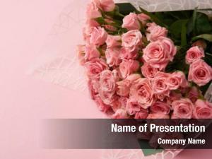 Tender Roses PowerPoint Template