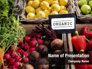 Organic PowerPoint Template