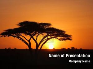 Savannah Sunset PowerPoint Template