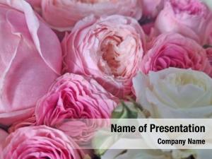 Floral Design
