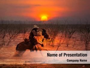 Cowboy Riding PowerPoint Template