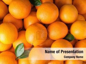 Oranges PowerPoint Template