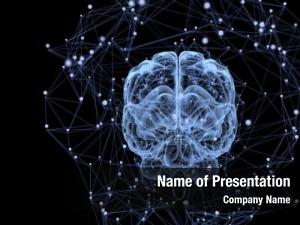 Brain Activity