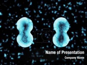Cell Fission PowerPoint Template