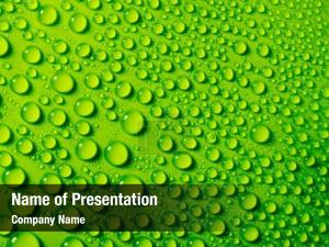Green Water Drops PowerPoint Template