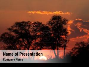 Savanna Sunset PowerPoint Template