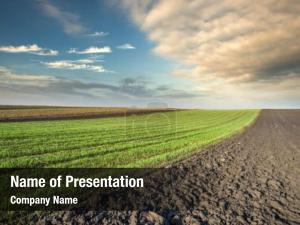 Arable Land At Sunset