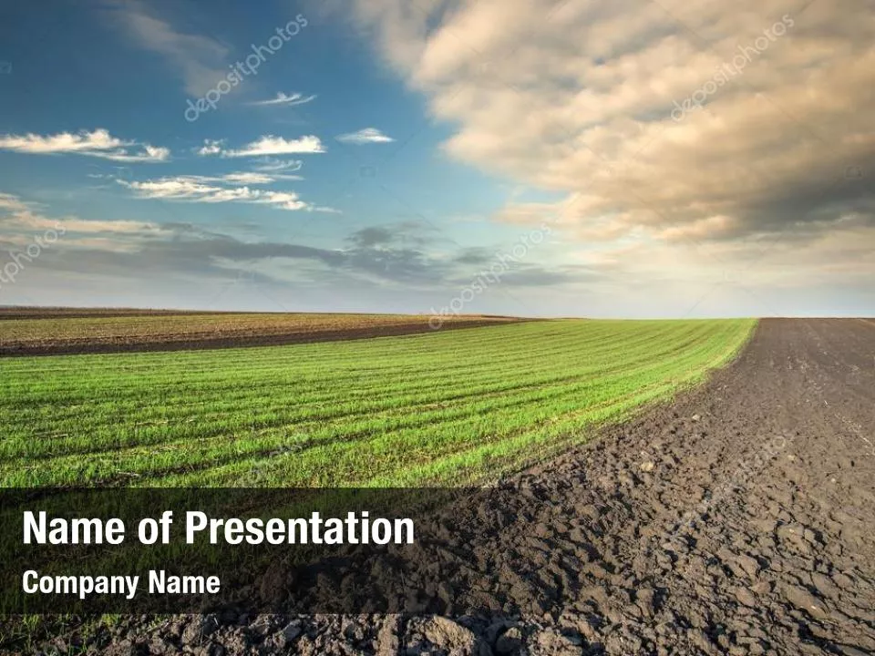 Arable Land At Sunset