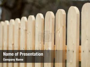 Wooden Fence