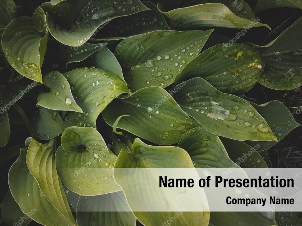 Abstract Greenhouse Concept