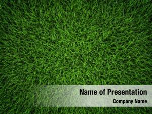 Green Grass PowerPoint Template